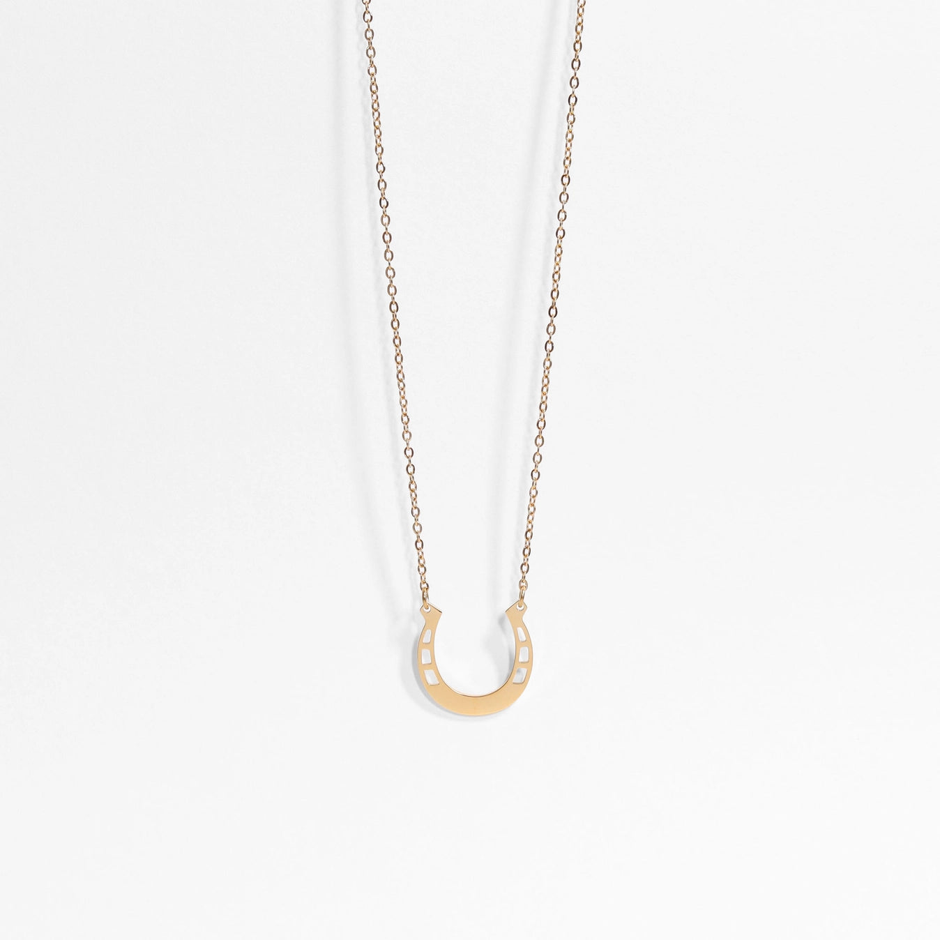 hope in a horseshoe necklace