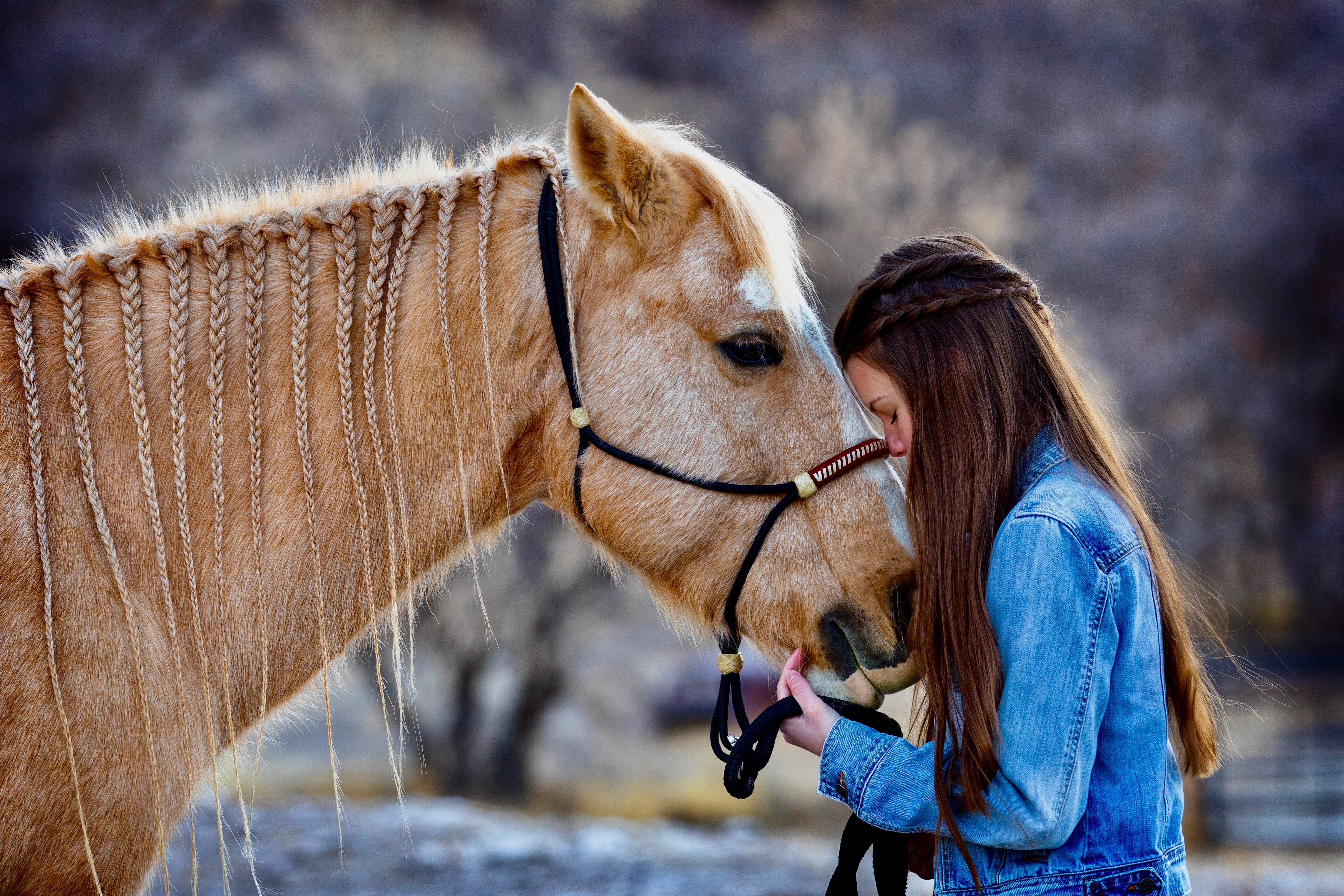 Montego - Hope Horsie™