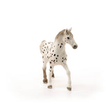 Knapstrupper Stallion