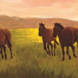 H is for Horse
