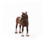 Clydesdale Gelding