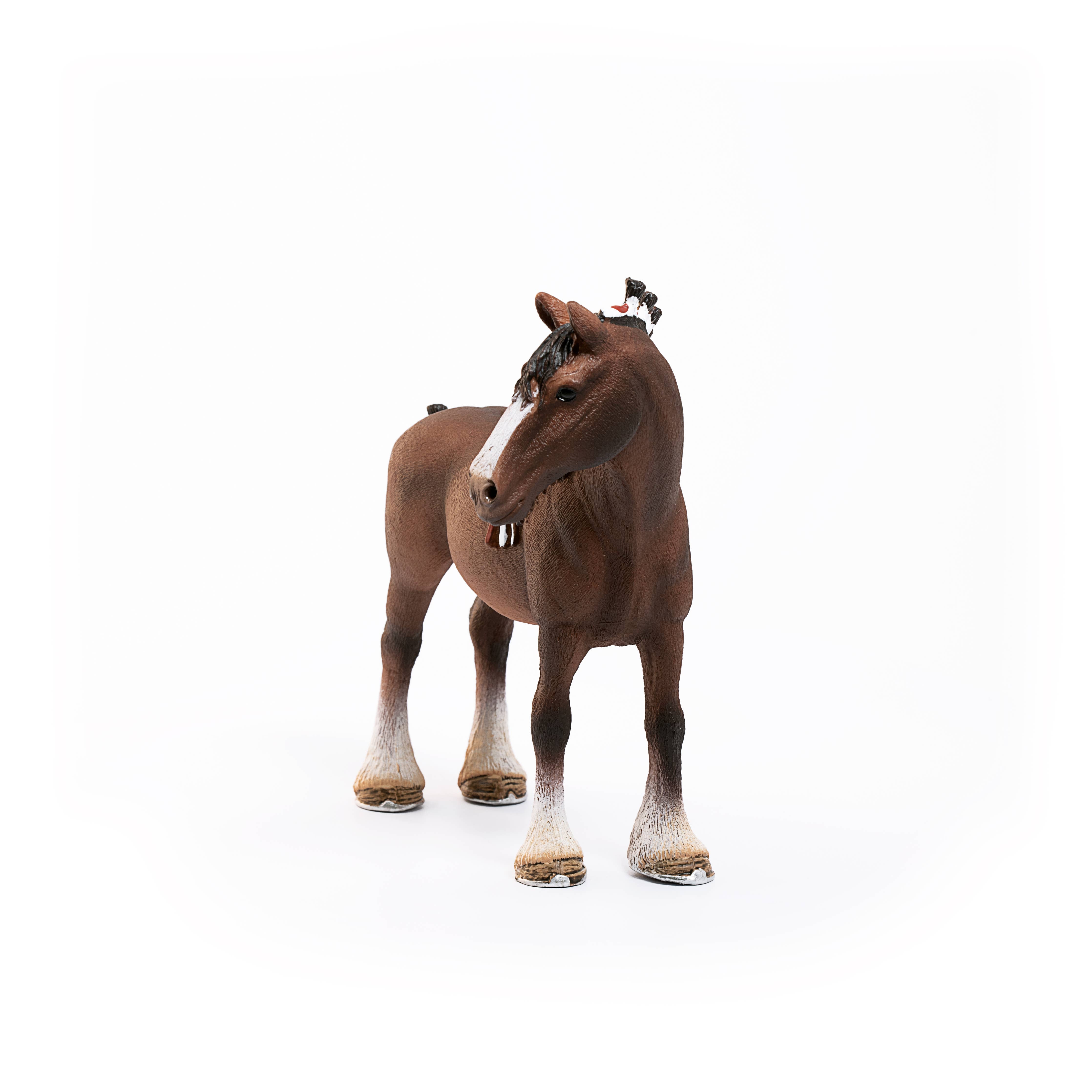 Clydesdale Gelding