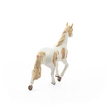 Paint Horse Mare