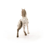 Knapstrupper Stallion