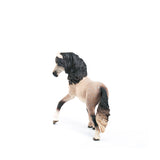 Andalusian Mare