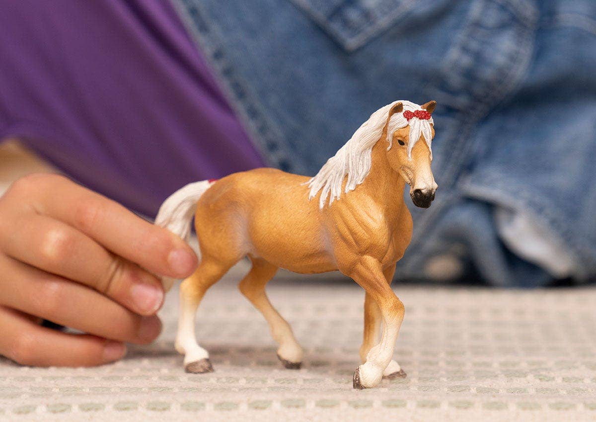 Haflinger Mare