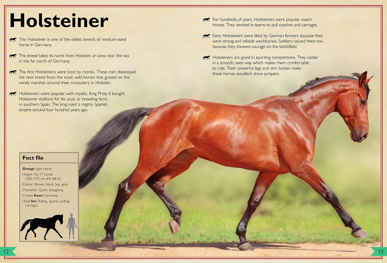 Magnificent Book of Horses