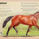 Magnificent Book of Horses