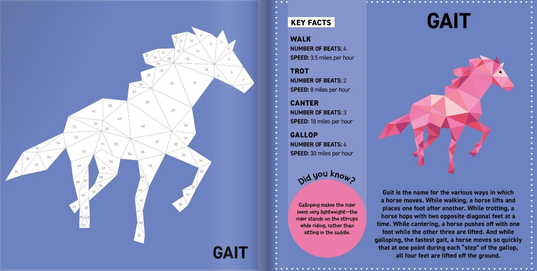 Horse Painting Sticker Book
