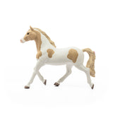 Paint Horse Mare