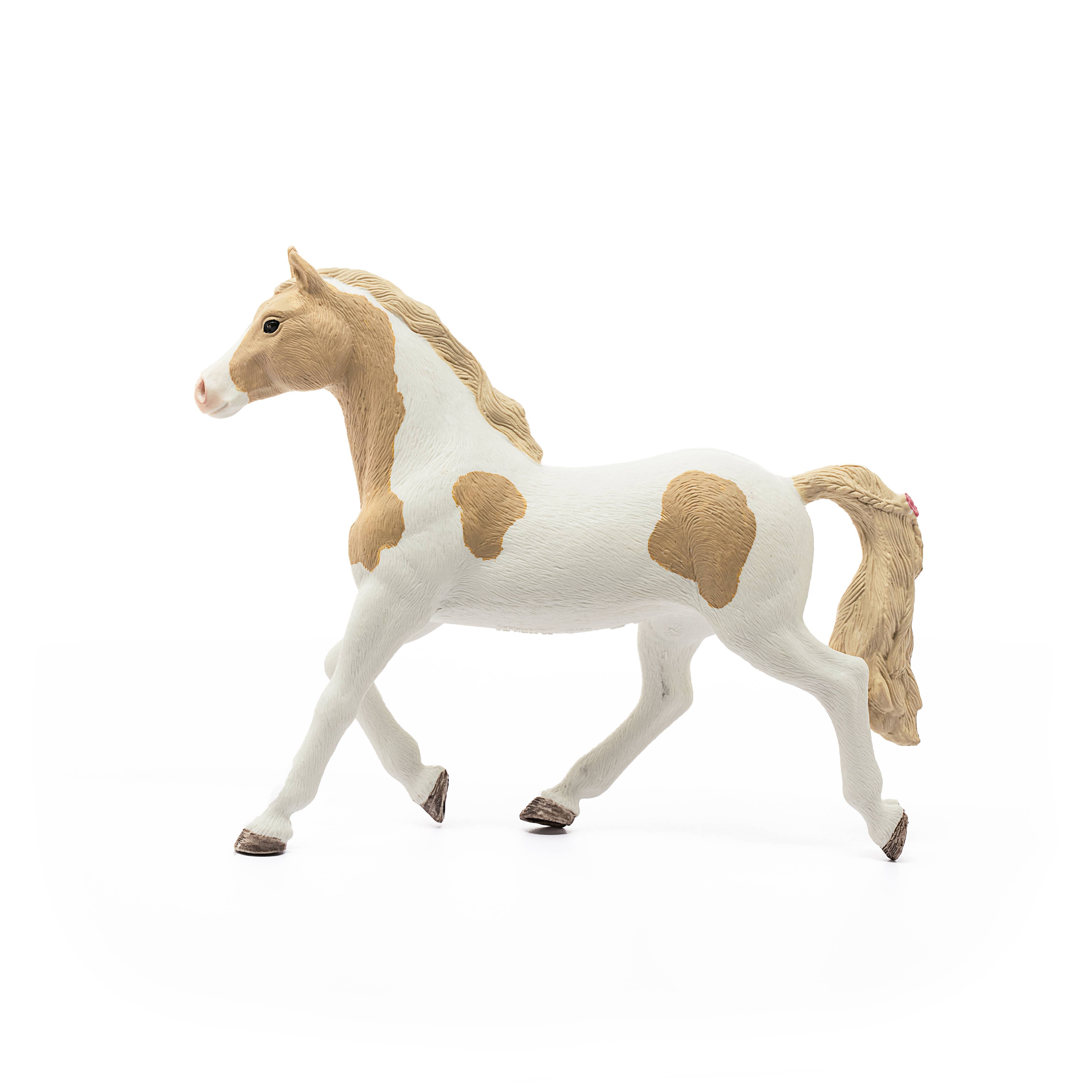 Paint Horse Mare