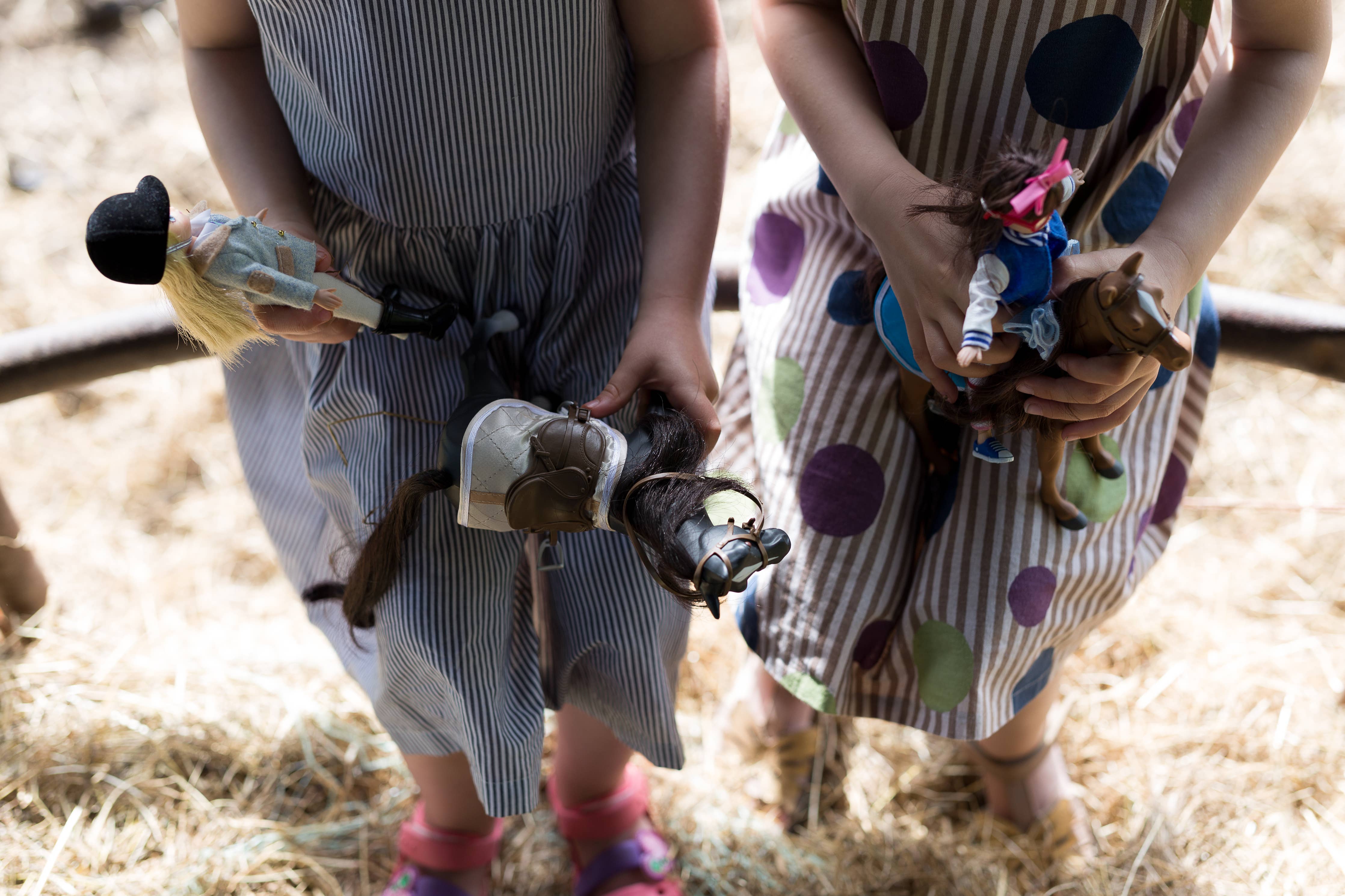 Welsh Mountain Pony Toy