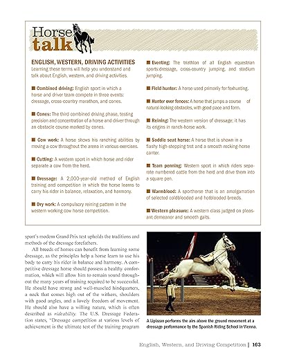 The Original Horse Bible