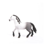 Andalusian Stallion