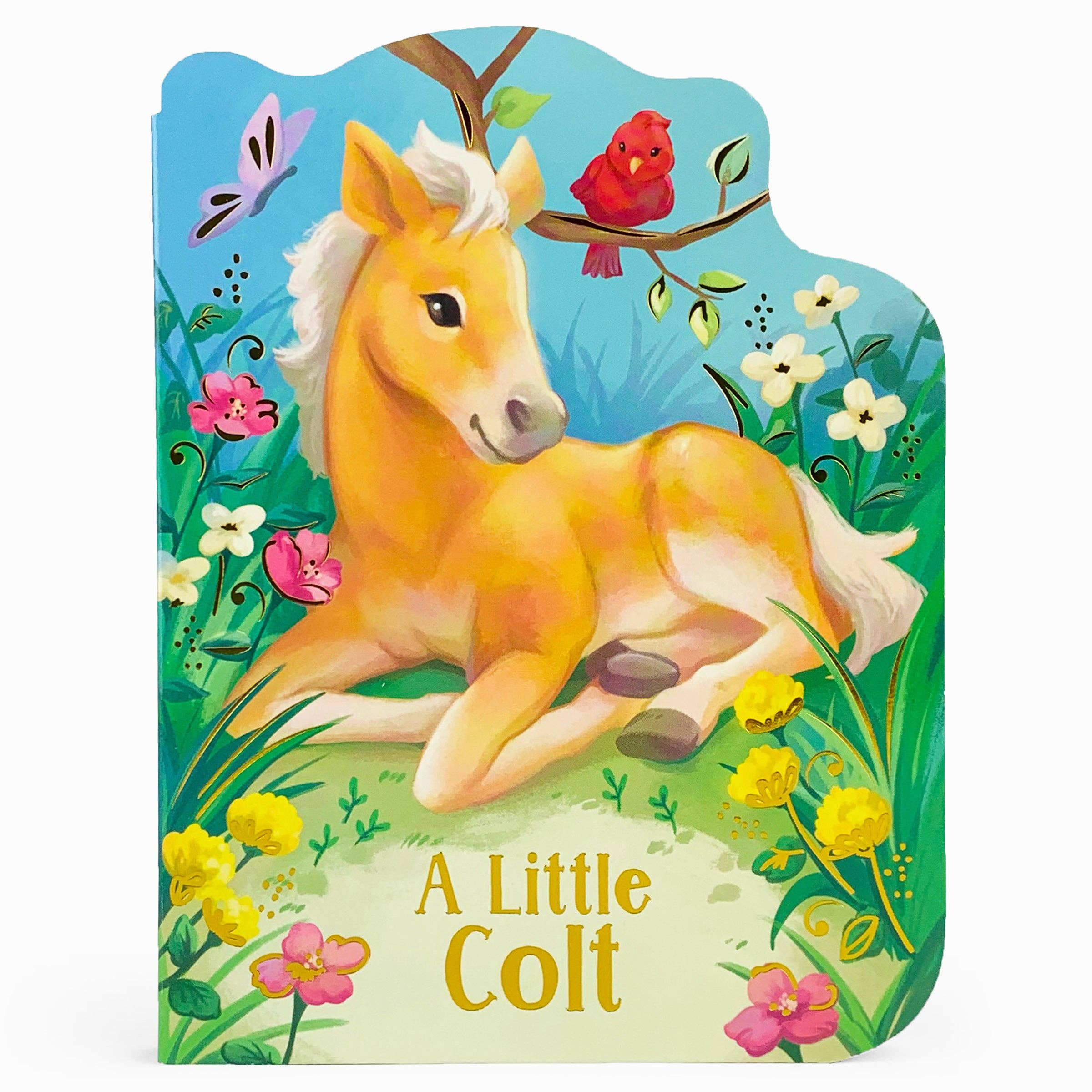 A Little Colt Book