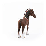 Clydesdale Gelding