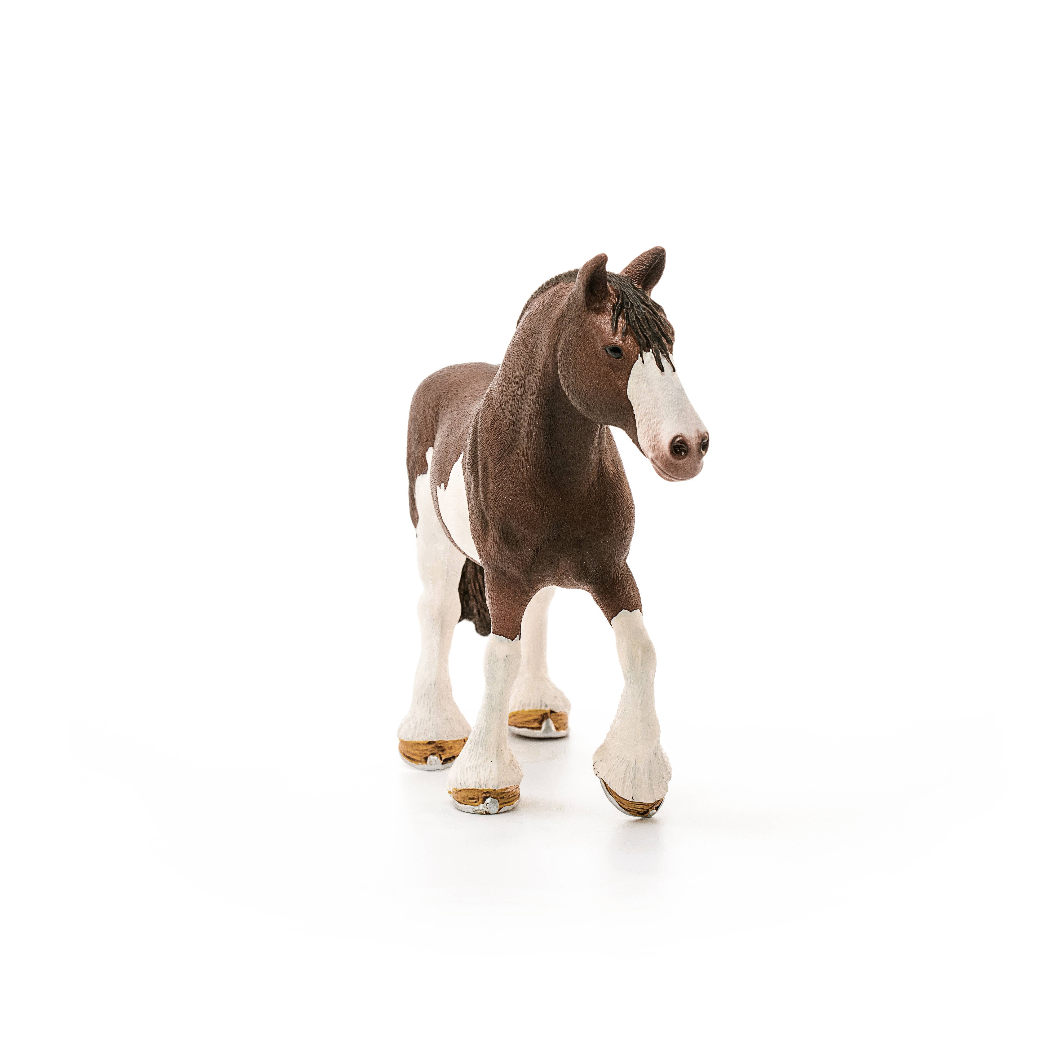 Clydesdale Mare
