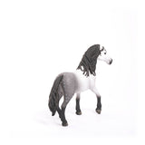 Andalusian Stallion