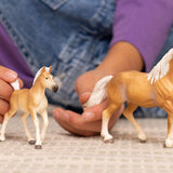 Haflinger Mare