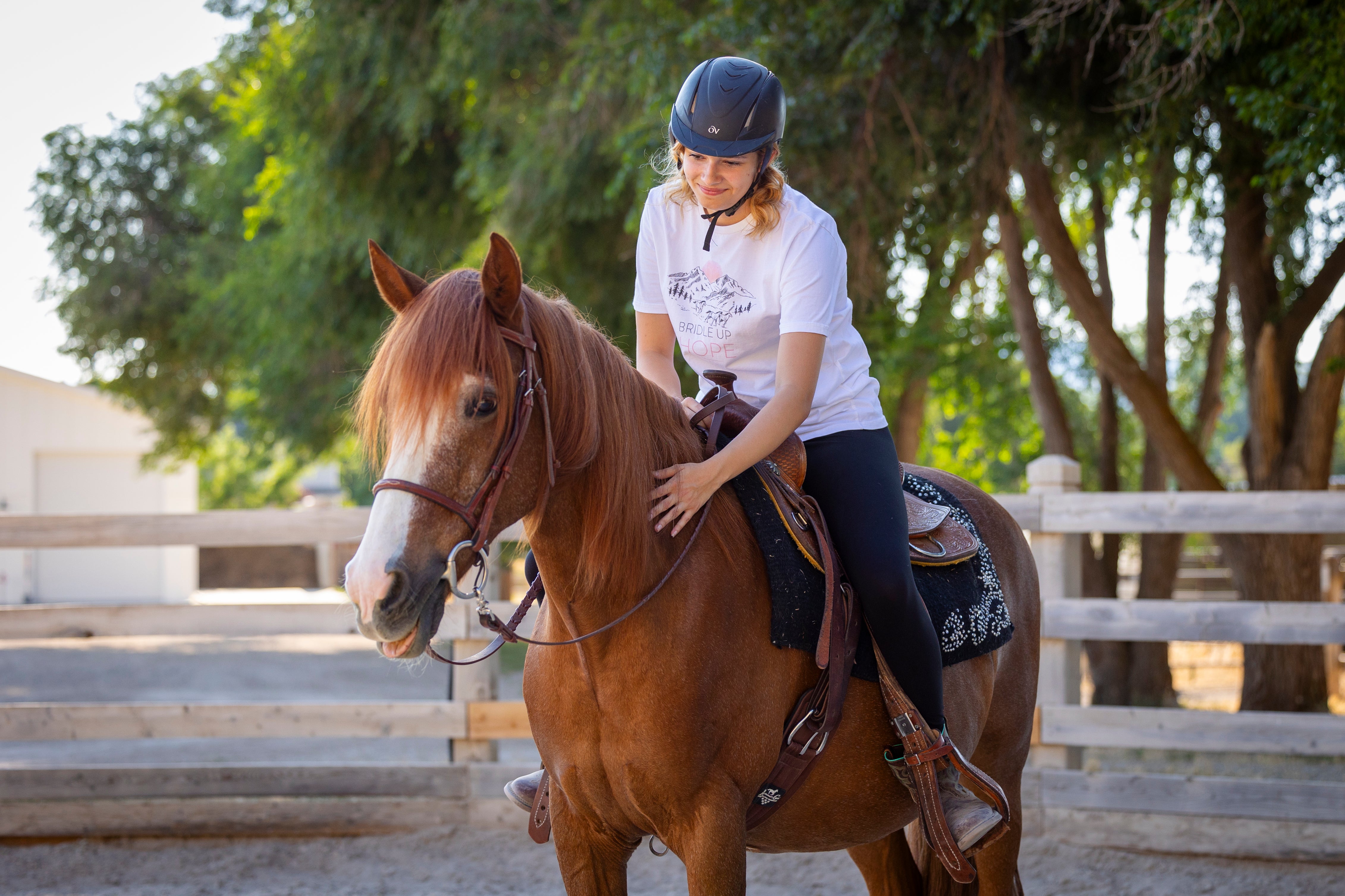 hooli the horse