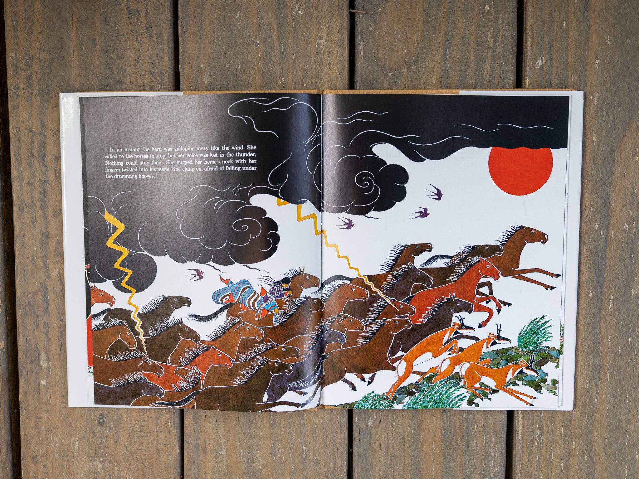 The Girl Who Loved Wild Horses