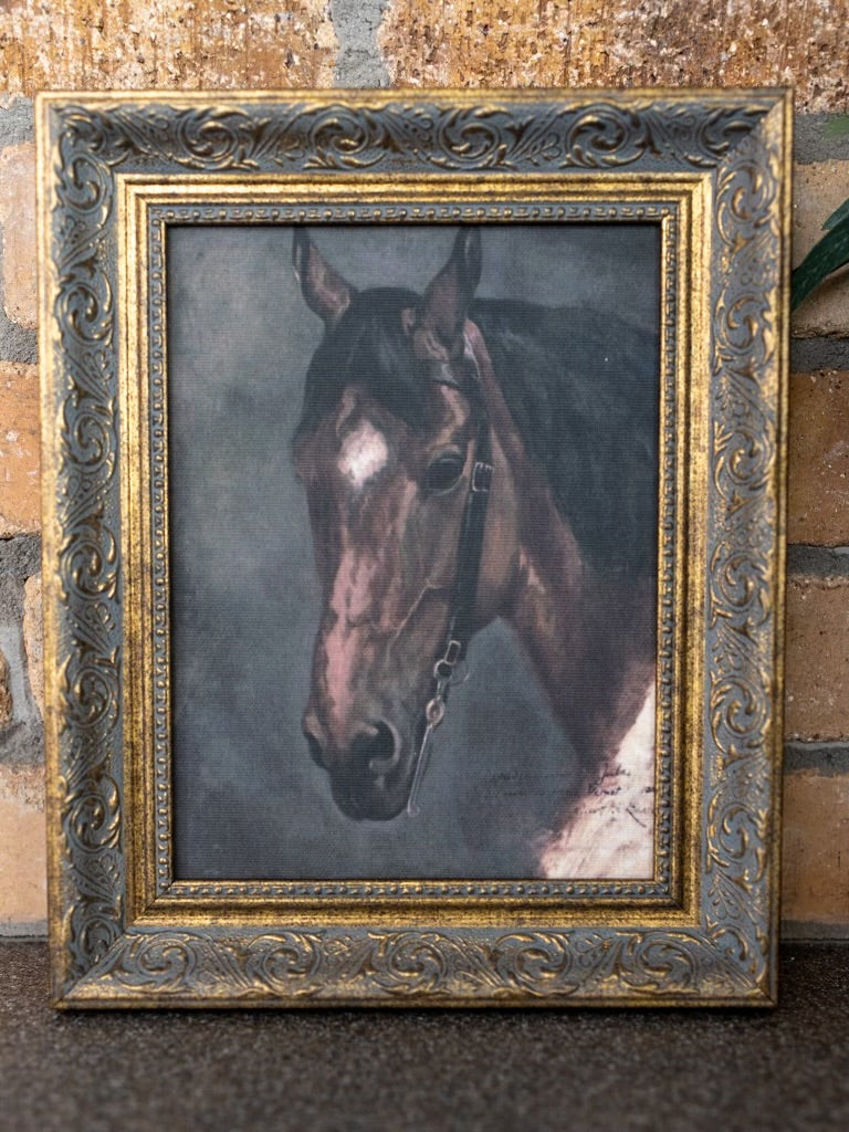 Horse Portrait