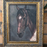Horse Portrait