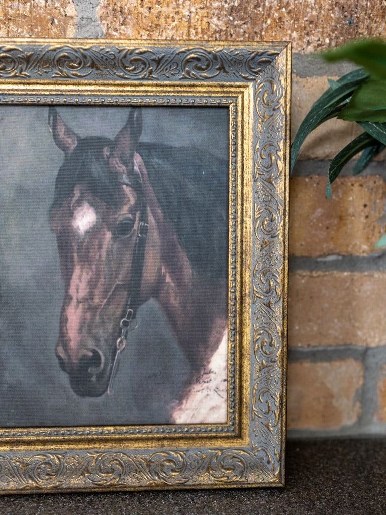 Horse Portrait