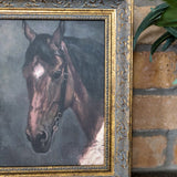 Horse Portrait