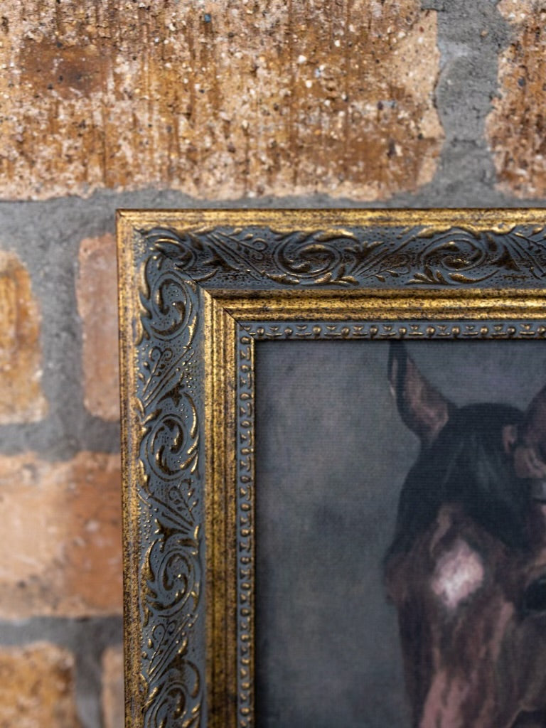 Horse Portrait