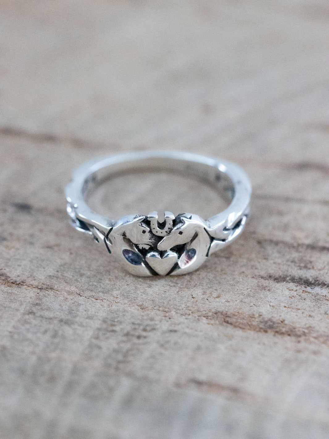 bridle up hope ring