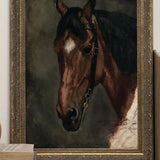 Horse Portrait