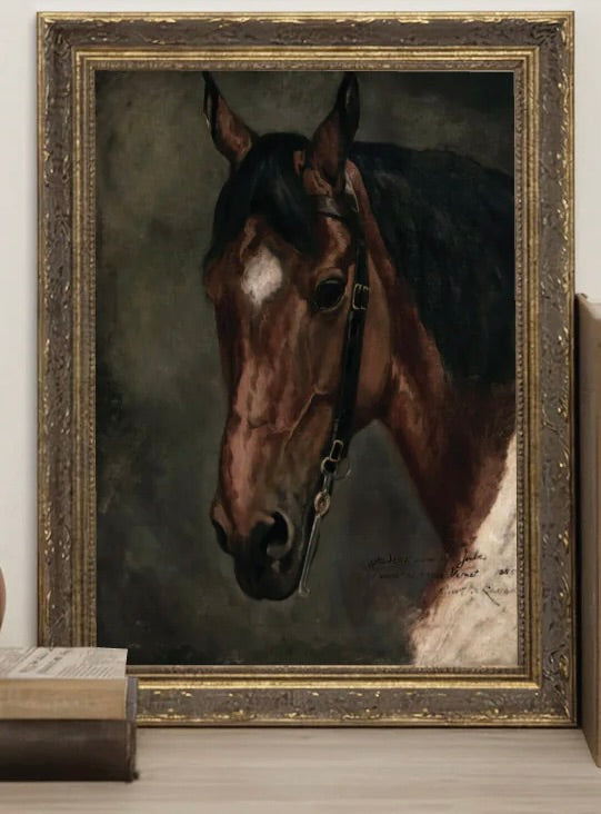 Horse Portrait