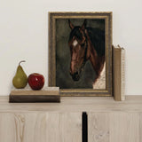 Horse Portrait