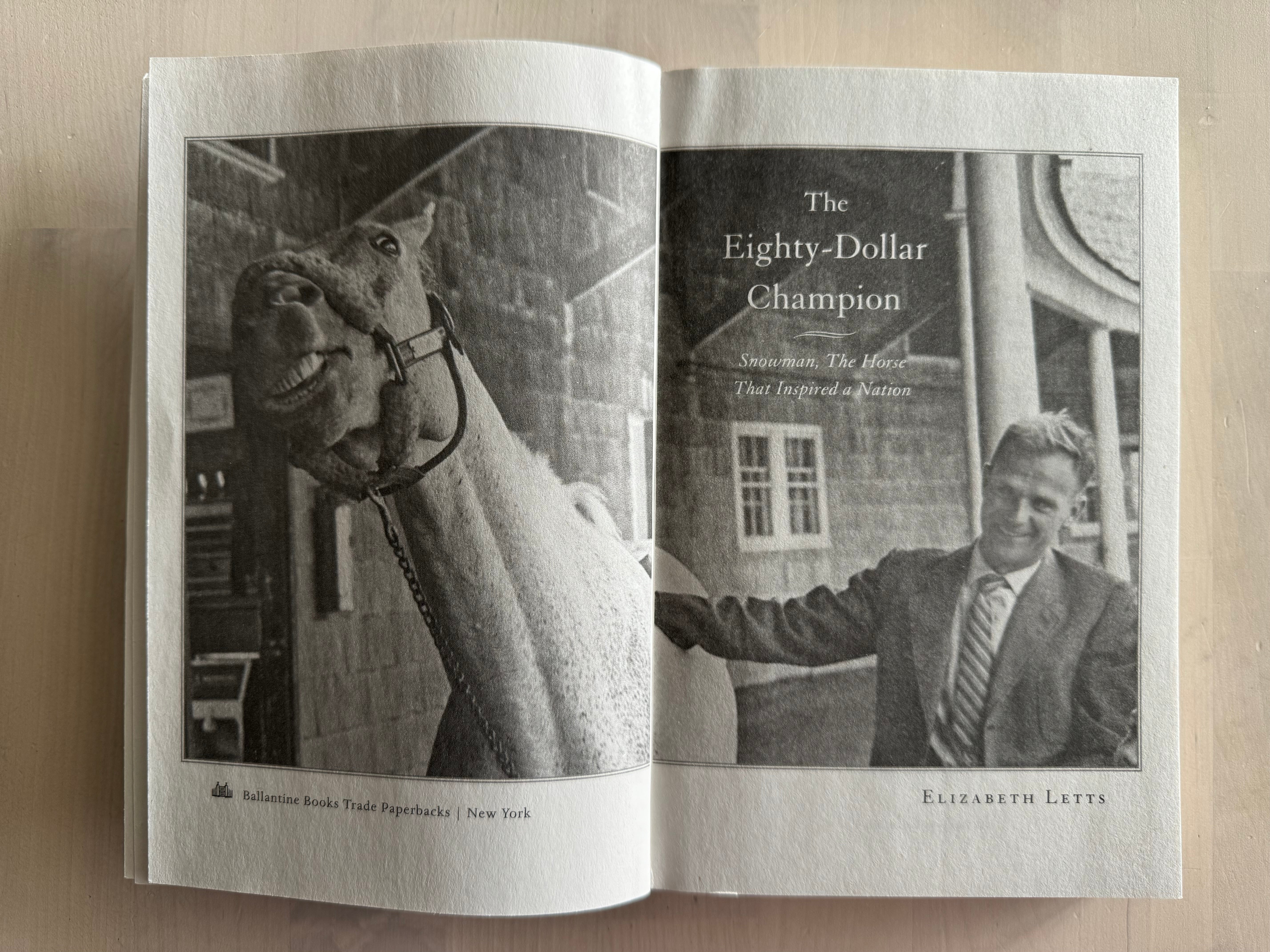 The Eighty-Dollar Champion