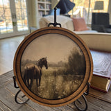 Among the Meadow Horse Art