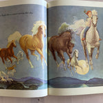 My Pony Book