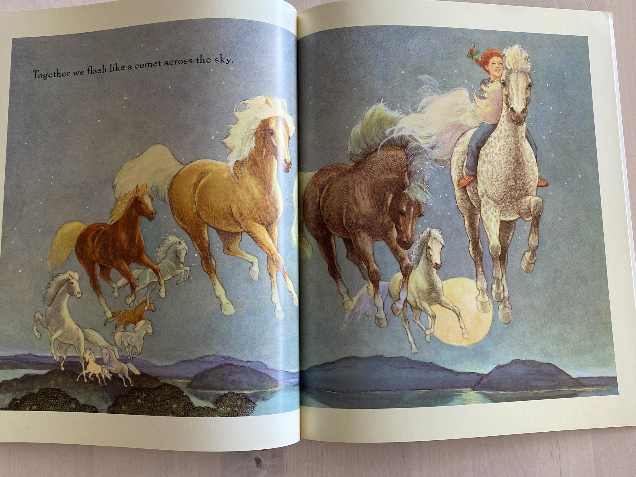 My Pony Book