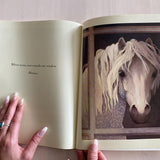 My Pony Book