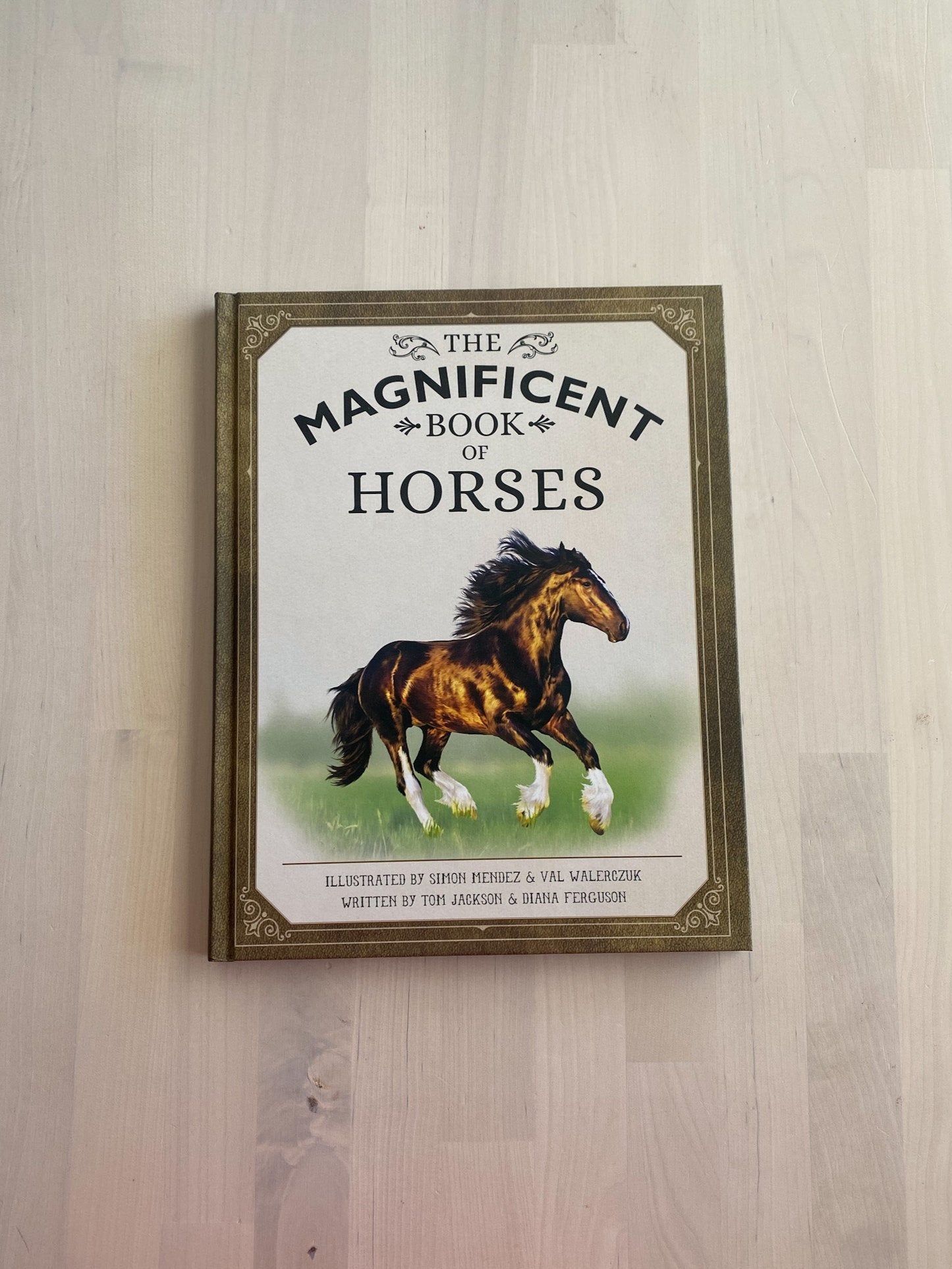 Magnificent Book of Horses
