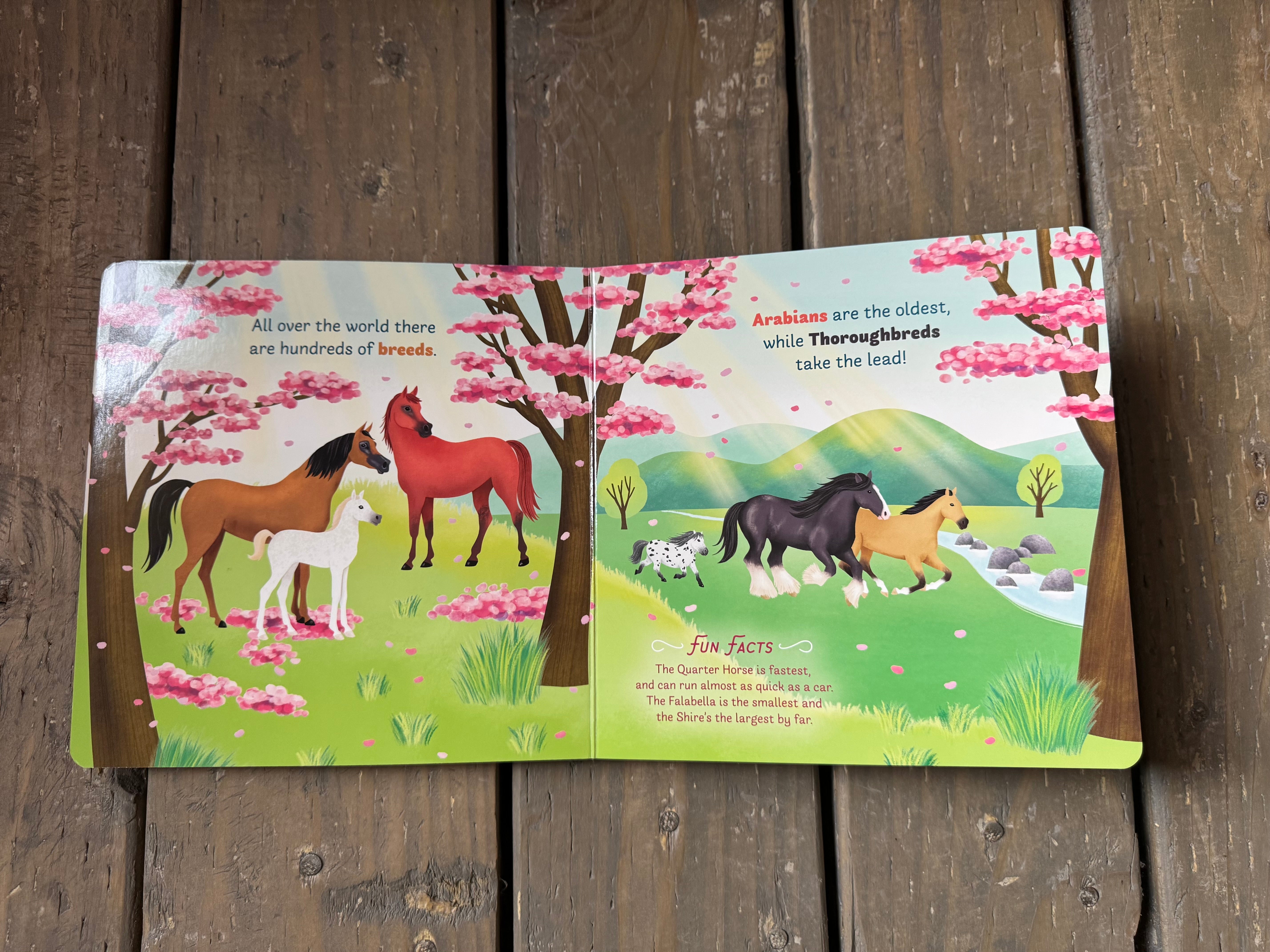 Little Genius Horses