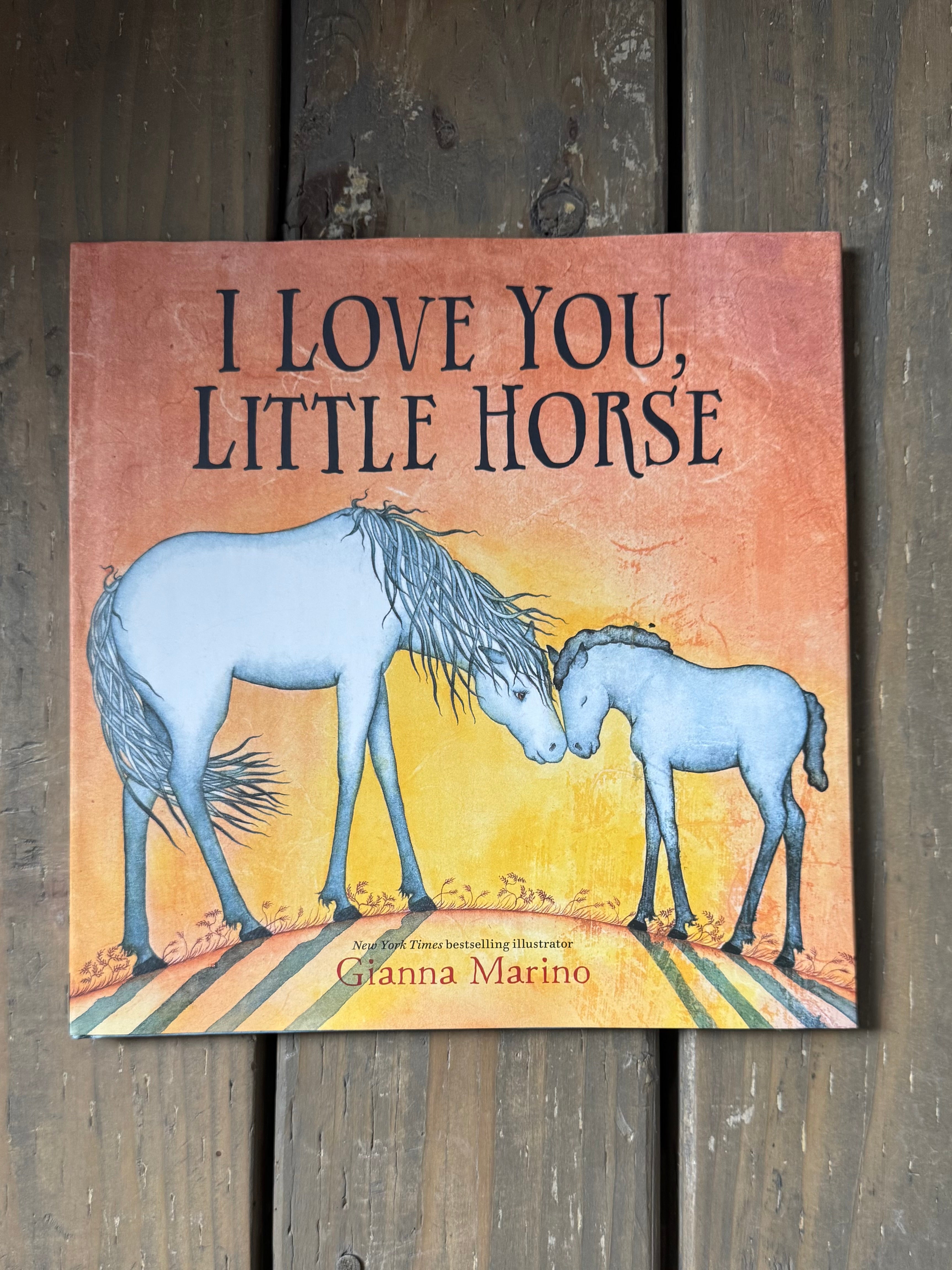 i love you, little horse