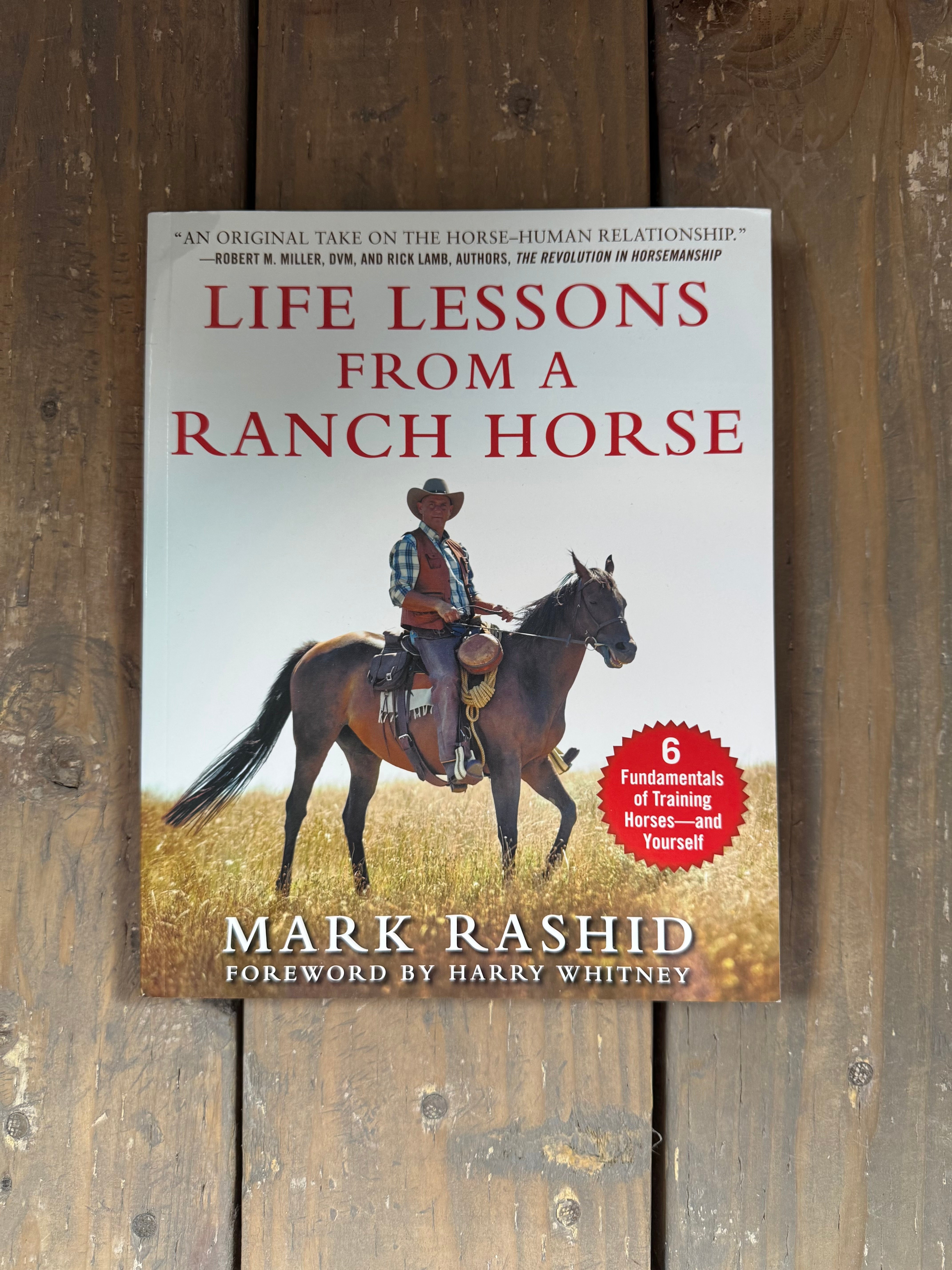 Life lessons From a Ranch Horse