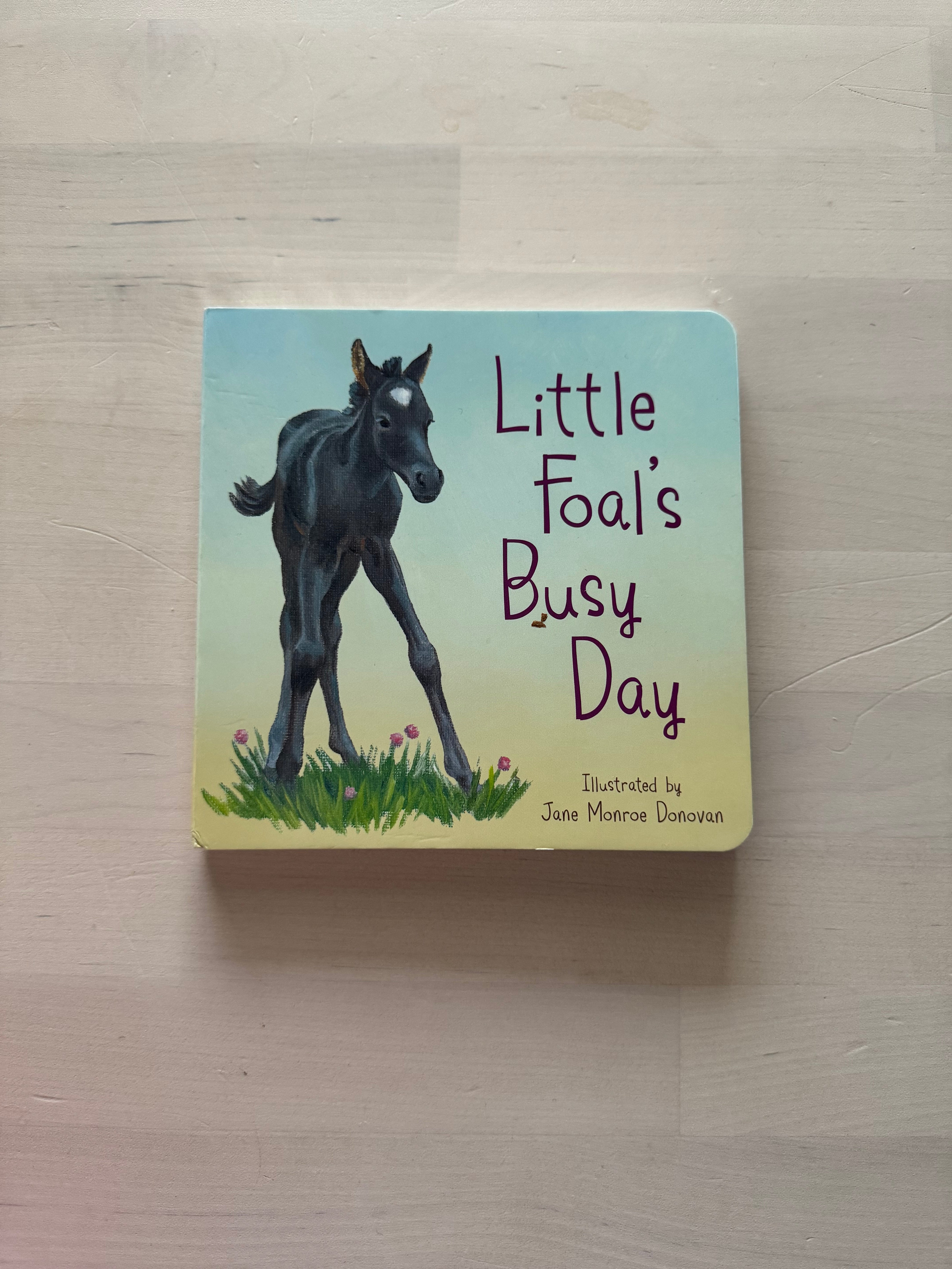 Little Foal's Busy Day