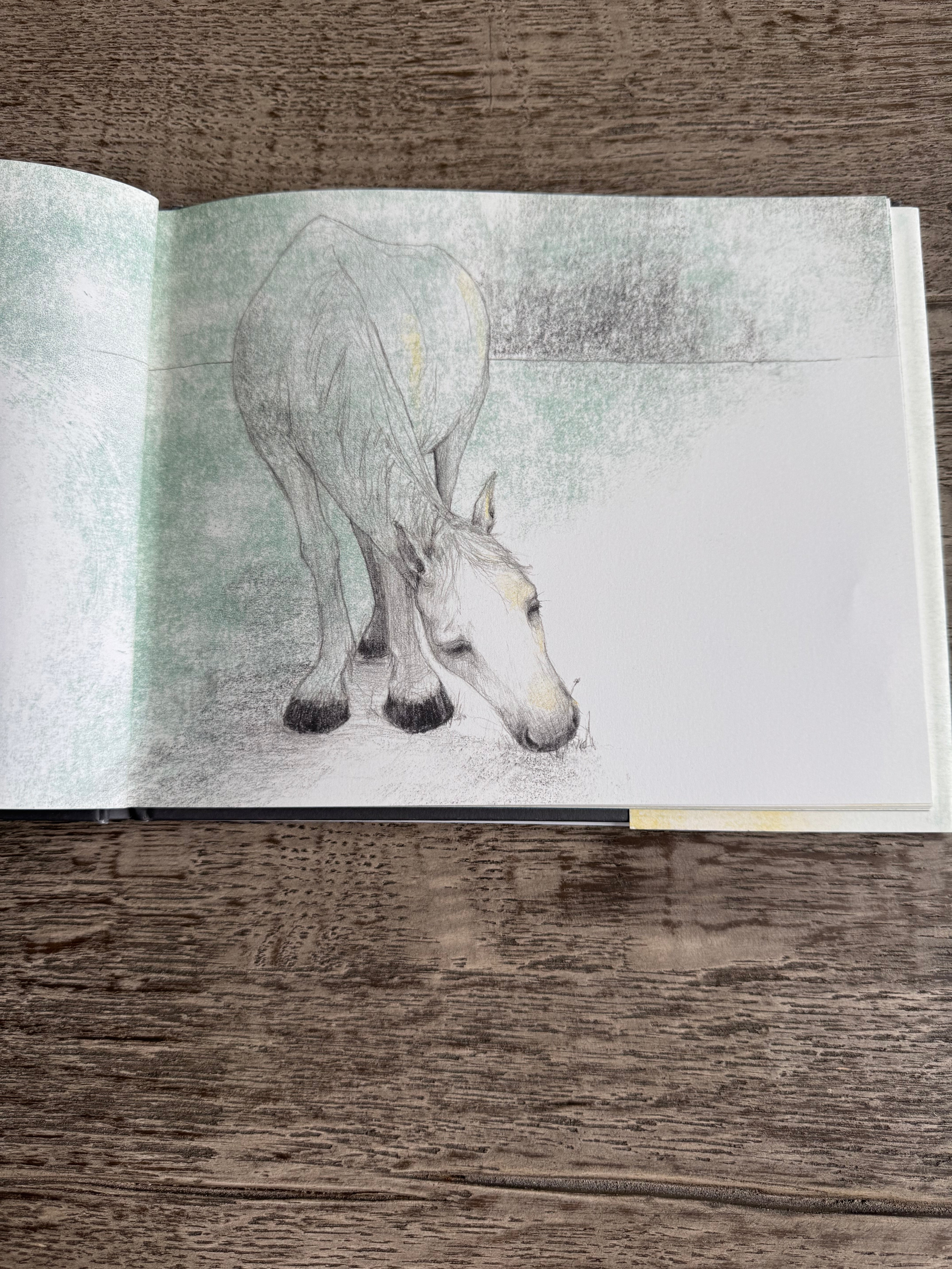 Tony The Horse Book