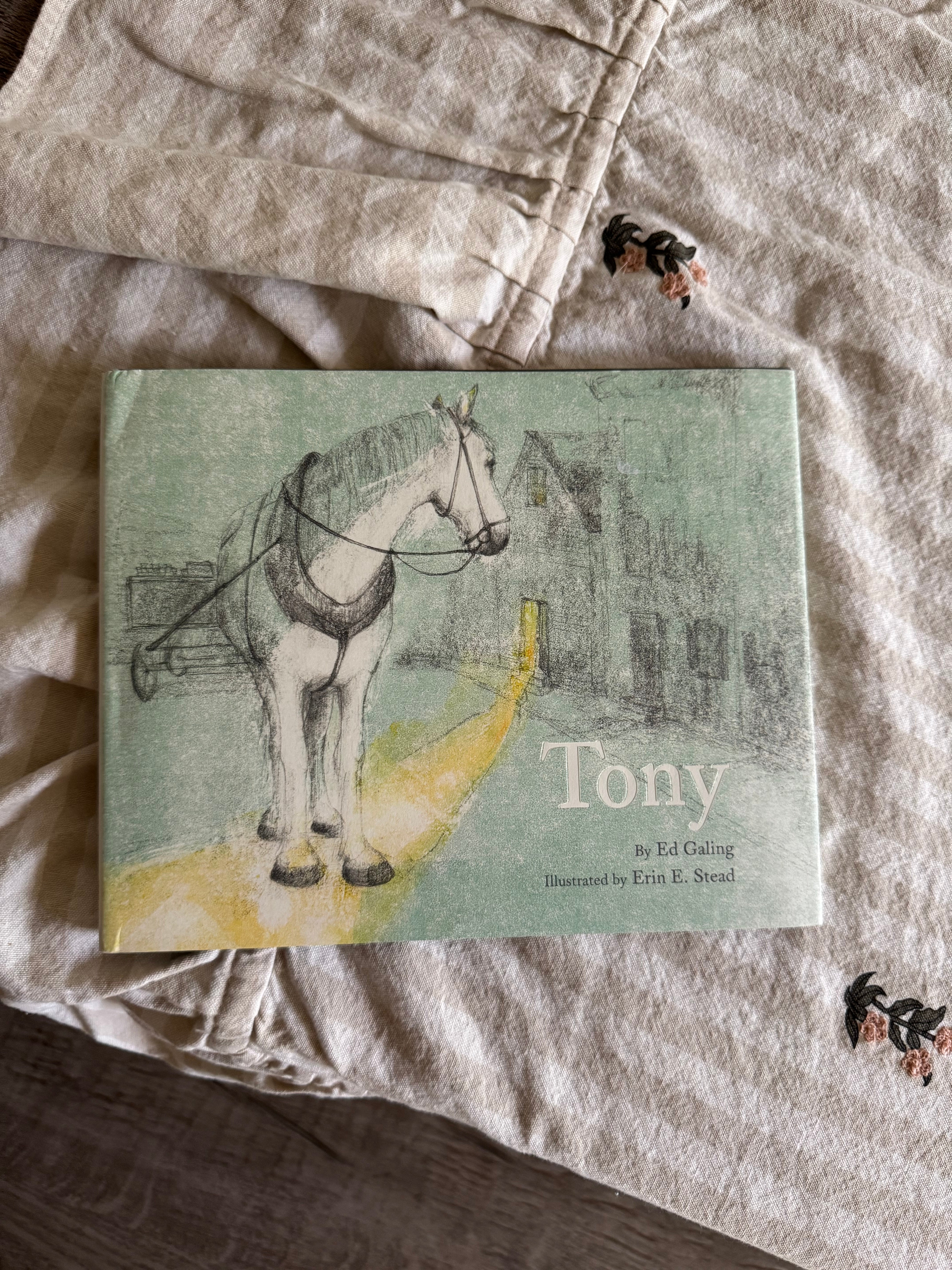 Tony The Horse Book