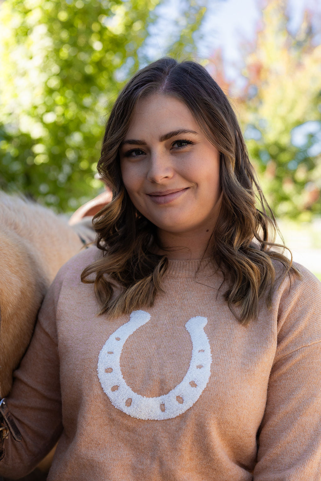 Lucky Horseshoe Cropped Sweater