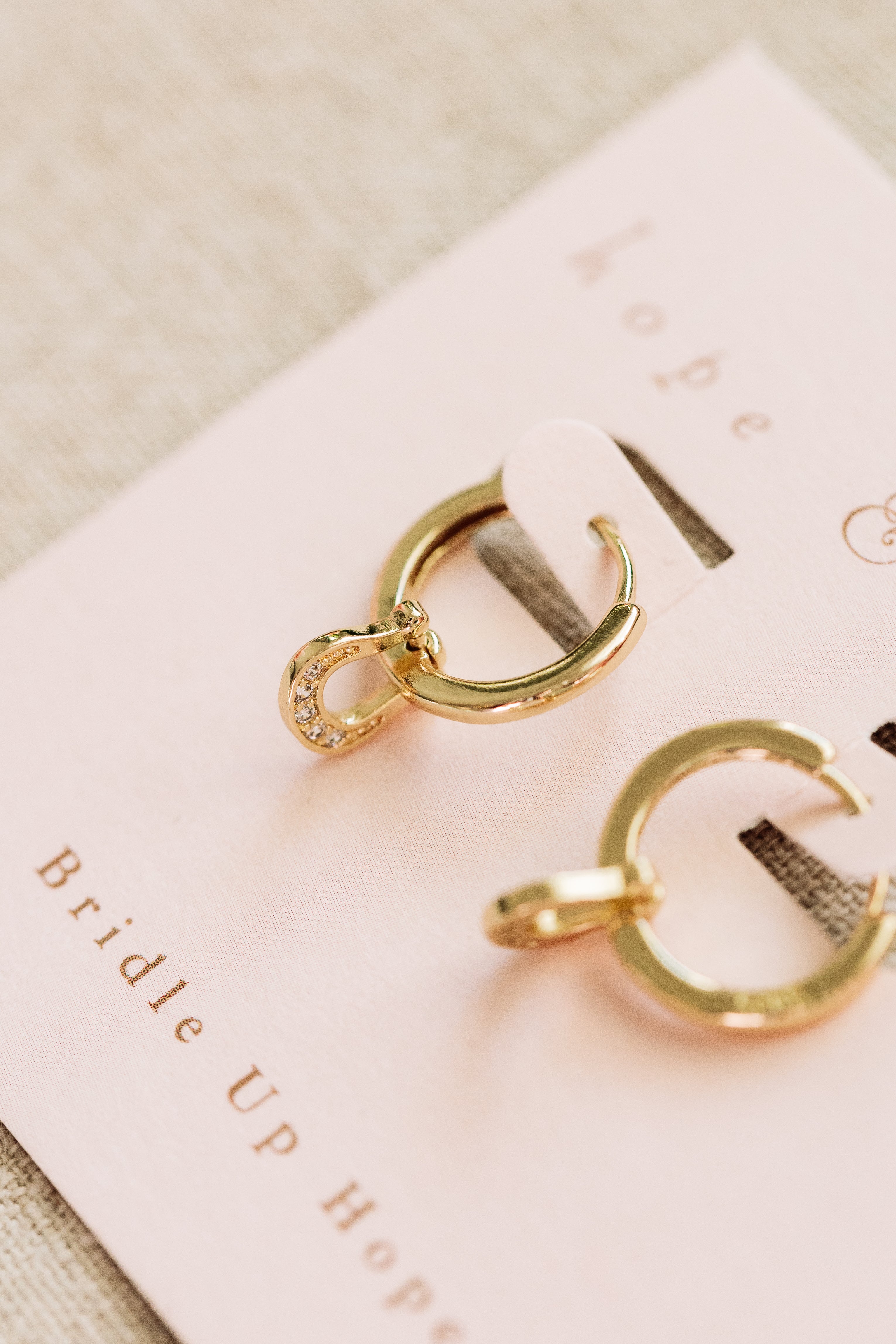 Horseshoe Huggie Earrings