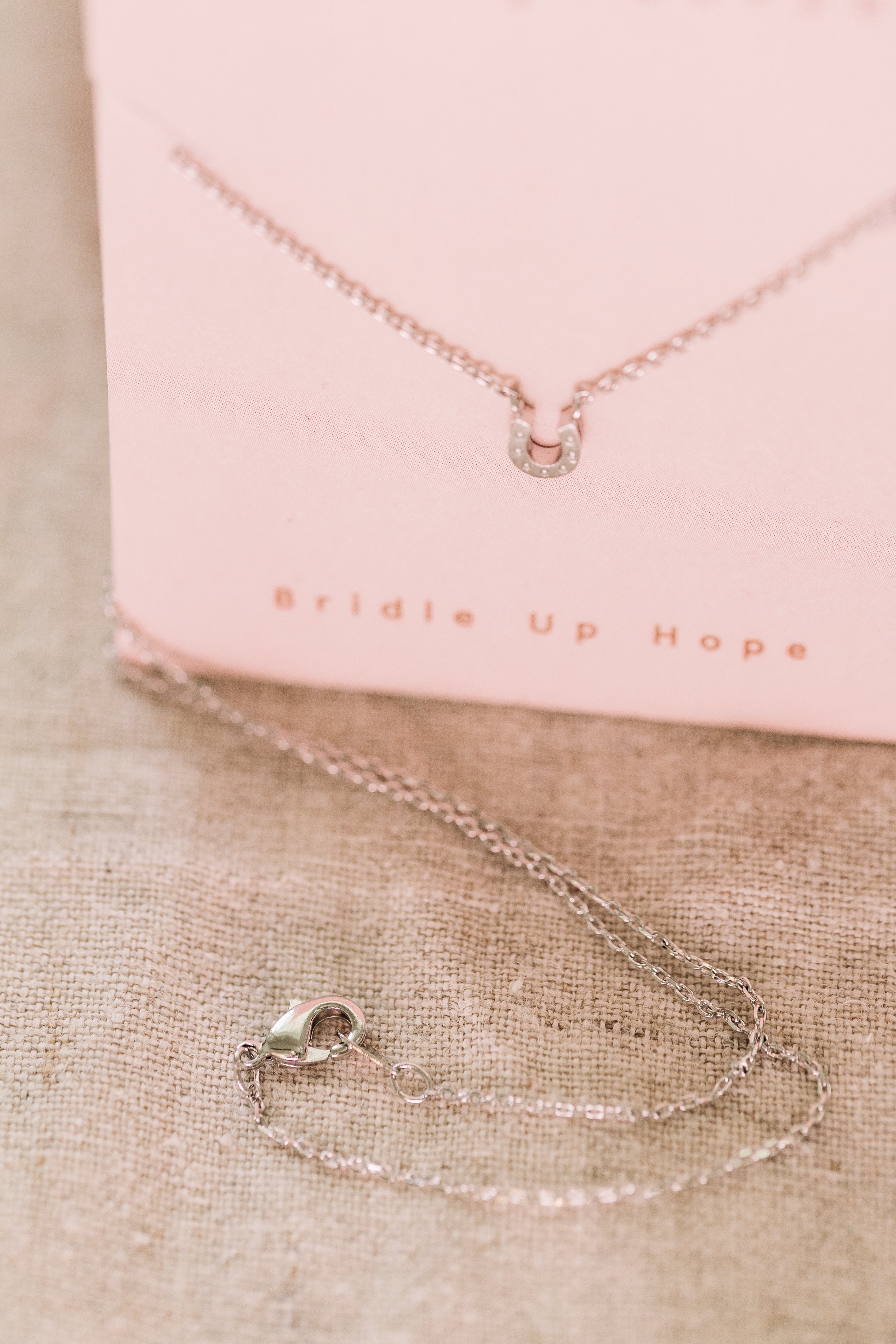 Tiny Horseshoe Necklace