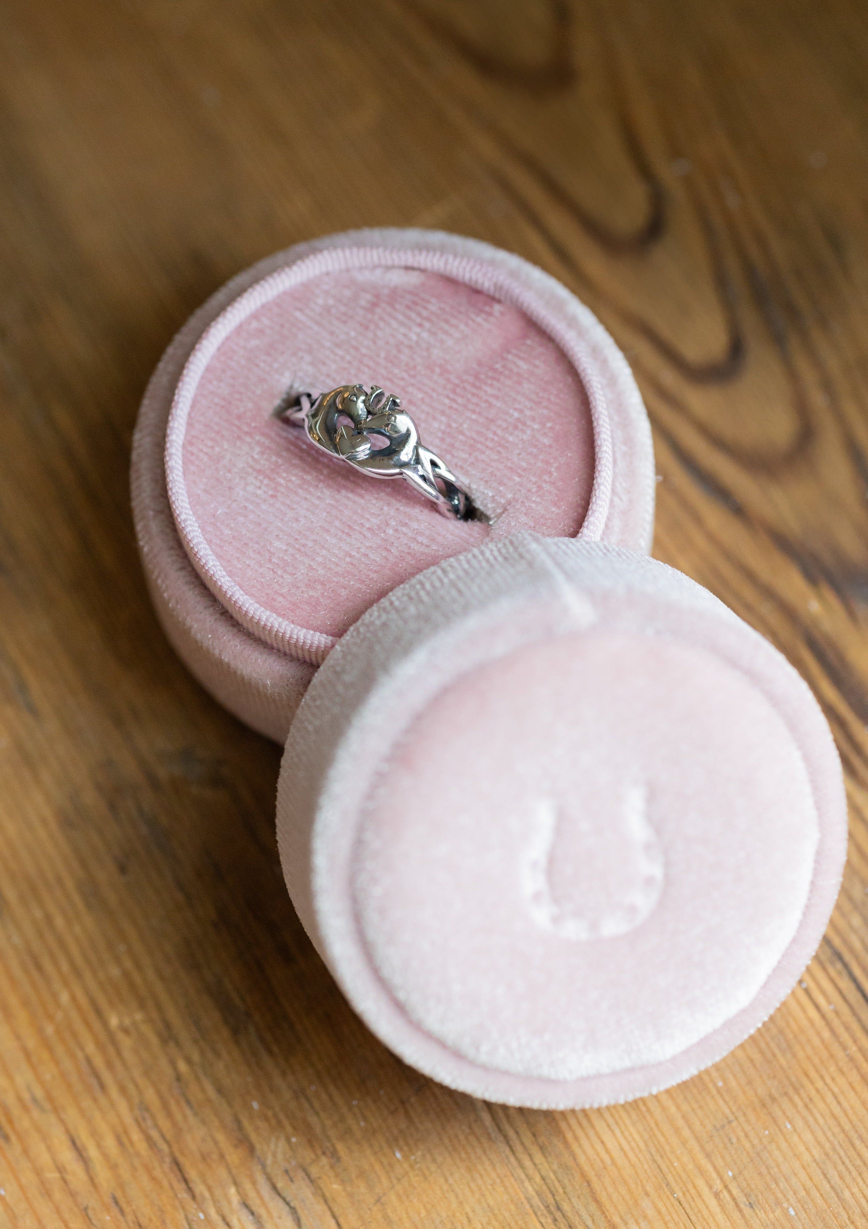 Bridle Up Hope Ring